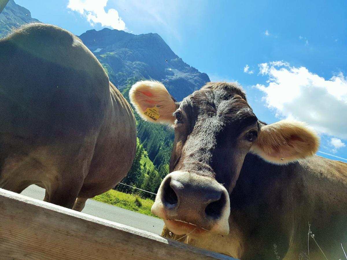 Gasthof Auerhahn Lech am Arlberg Zewnętrze zdjęcie